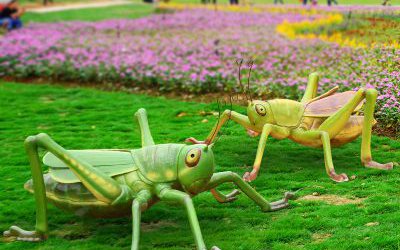 公园草坪摆放的两只玻璃钢彩绘蚱蜢雕塑