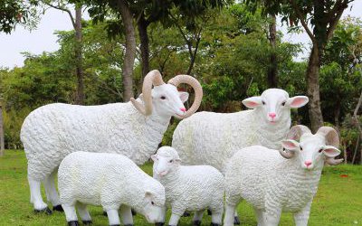 公园草坪摆放的玻璃钢仿真绵羊雕塑