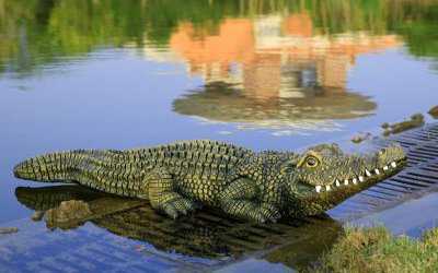 湖边摆放的玻璃钢仿真鳄鱼雕塑