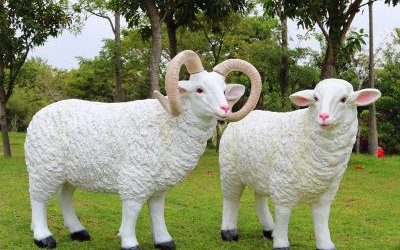 草地上一对玻璃钢仿真绵羊雕塑