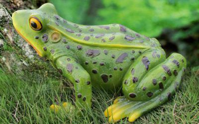 草坪玻璃钢彩绘仿真青蛙雕塑