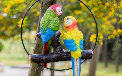 动物园树上休息的玻璃钢仿真鹦鹉雕塑