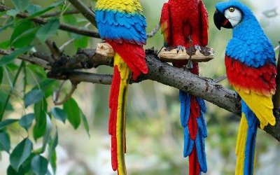 森林树枝上的玻璃钢彩绘仿真鹦鹉雕塑