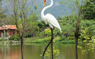 池塘草坪创意大长腿玻璃钢仿真动物丹顶鹤雕塑