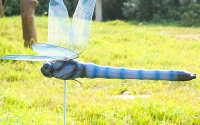 公园草坪玻璃钢彩绘蜻蜓雕塑
