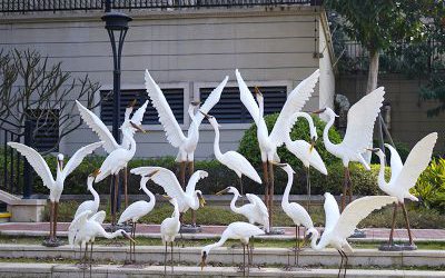 公园广场一群玻璃钢展翅的仿真动物仙鹤雕塑
