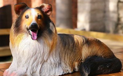 室内创意玻璃钢仿真动物景观狗雕塑