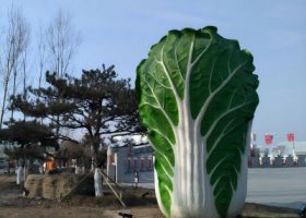玻璃钢白菜雕塑